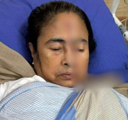 Mamata Banerjee Injury